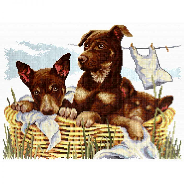 (image for) Wash-Day Kelpies